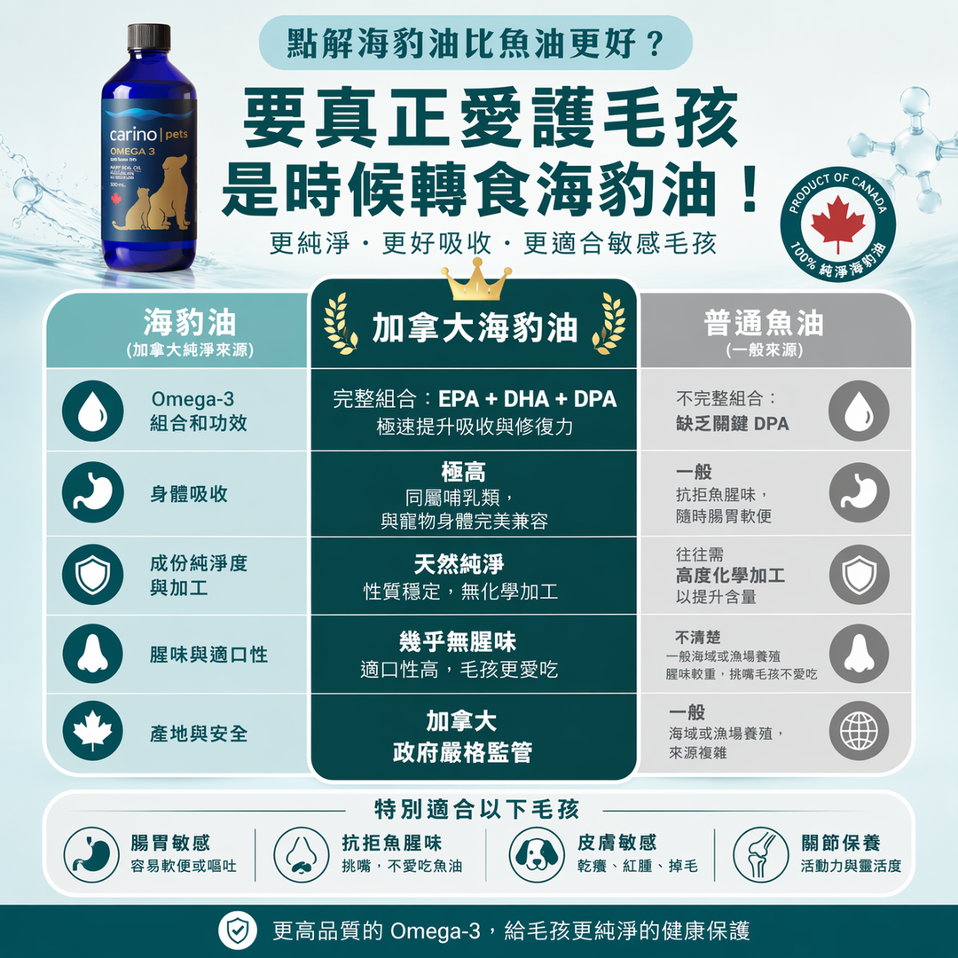 寵物海豹油 vs 魚油終極對比：如何選擇Omega-3?
