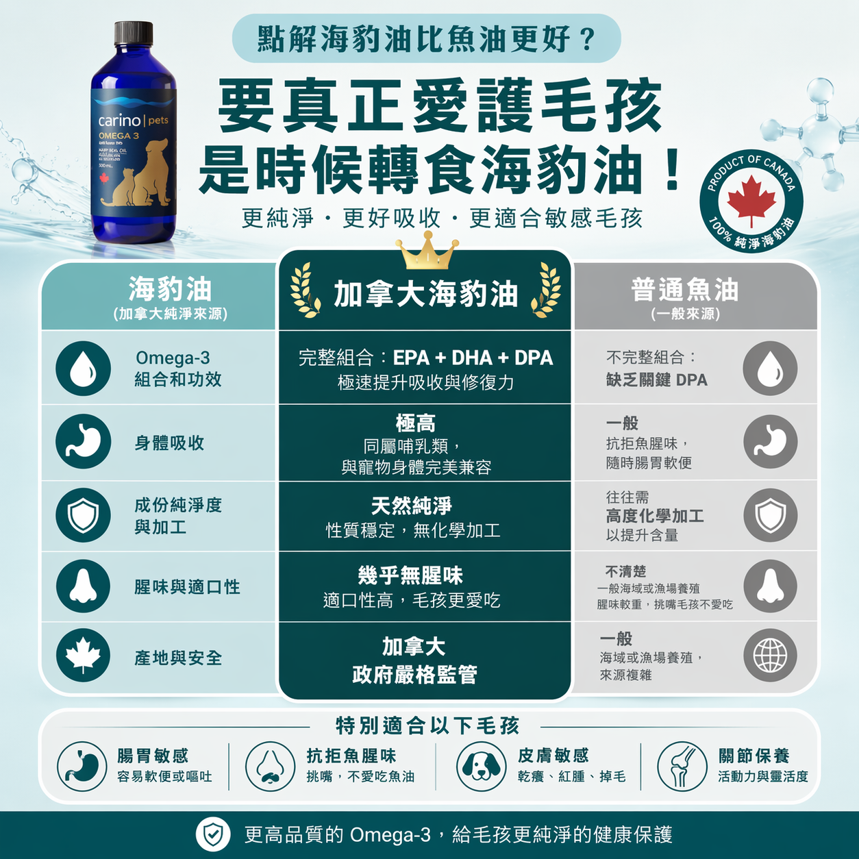 寵物海豹油 vs 魚油終極對比：如何選擇Omega-3?