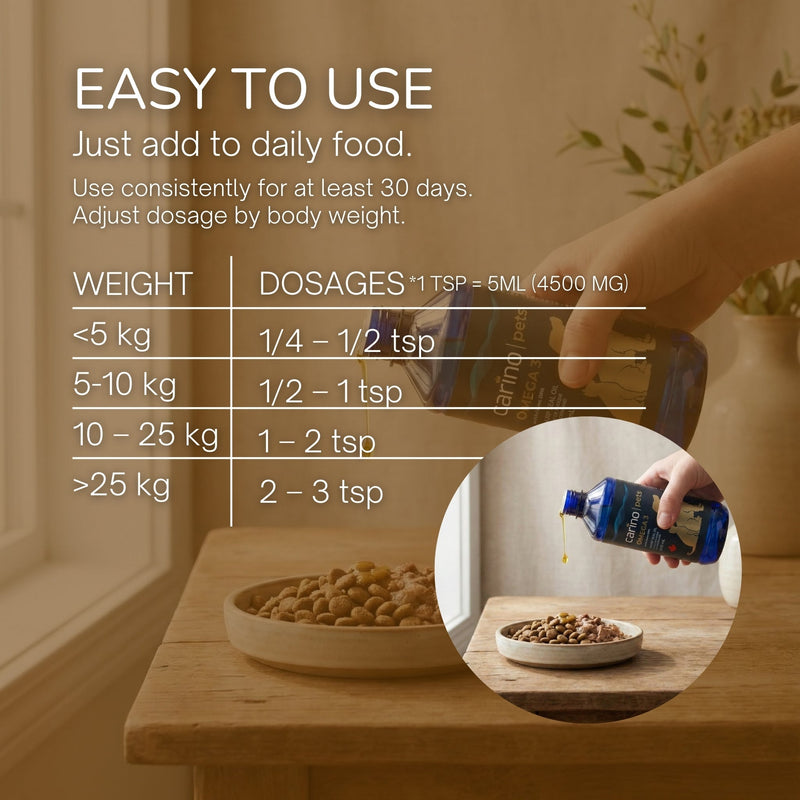 一個簡單開始：把 Omega-3 放進日常餵食