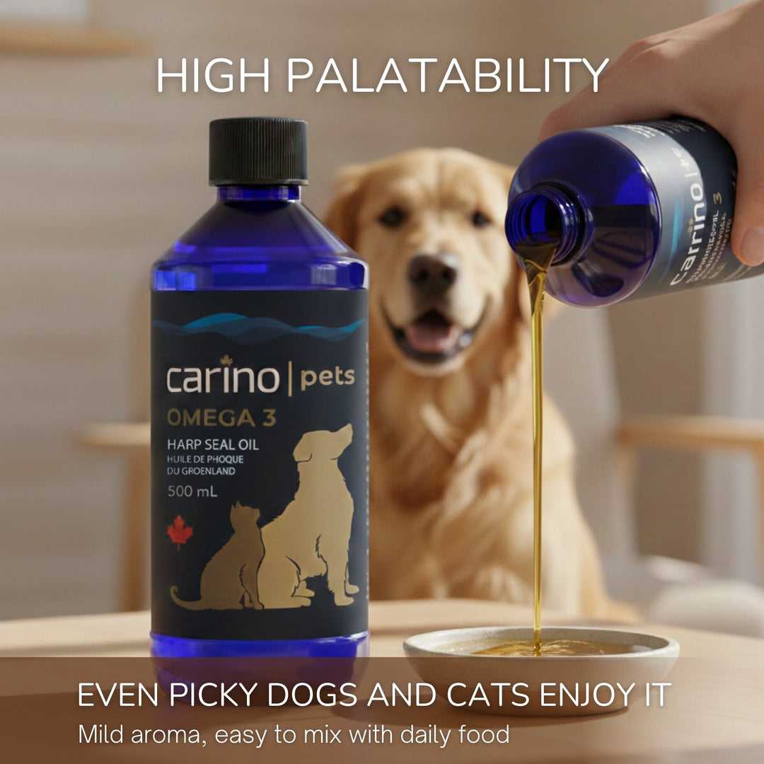 挑食／敏感肚：讓「開始」更輕、更容易成功