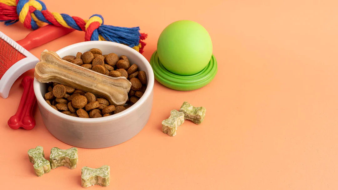 Dog Dental Care: Why It Matters More Than You Think