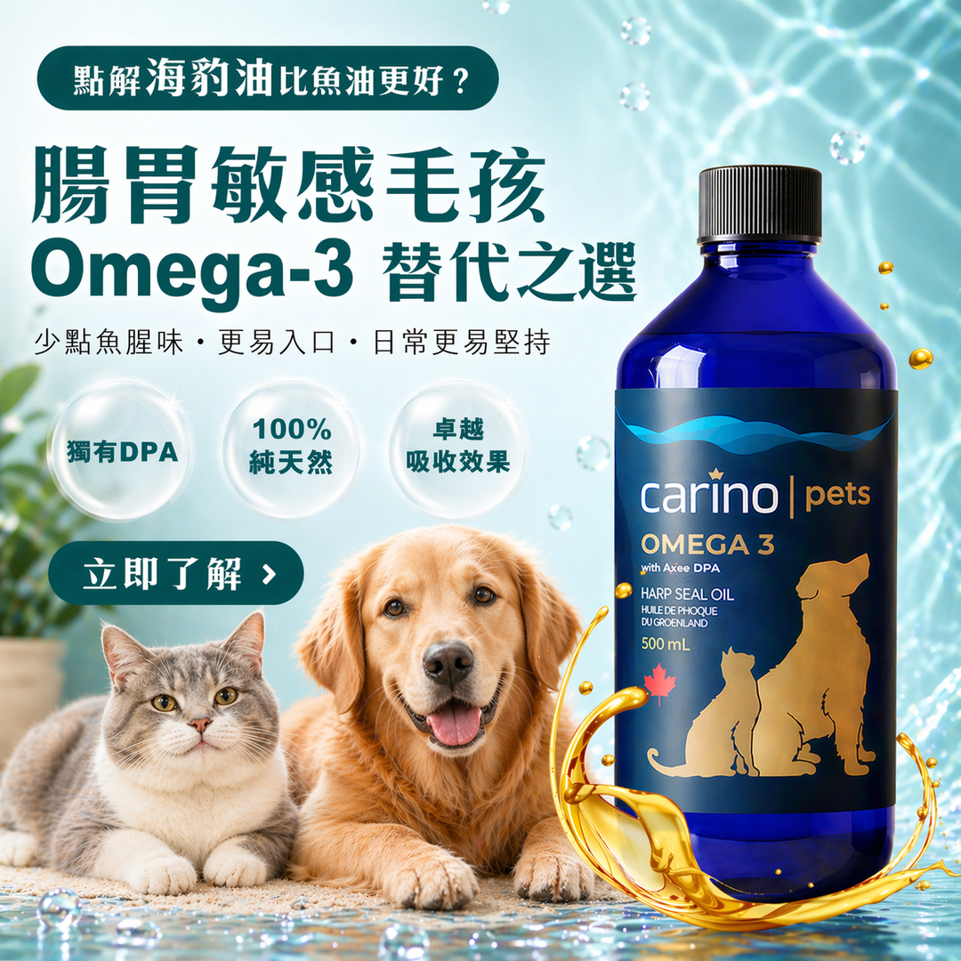 寵物海豹油 vs 魚油：腸胃敏感貓狗 Omega-3 替代品