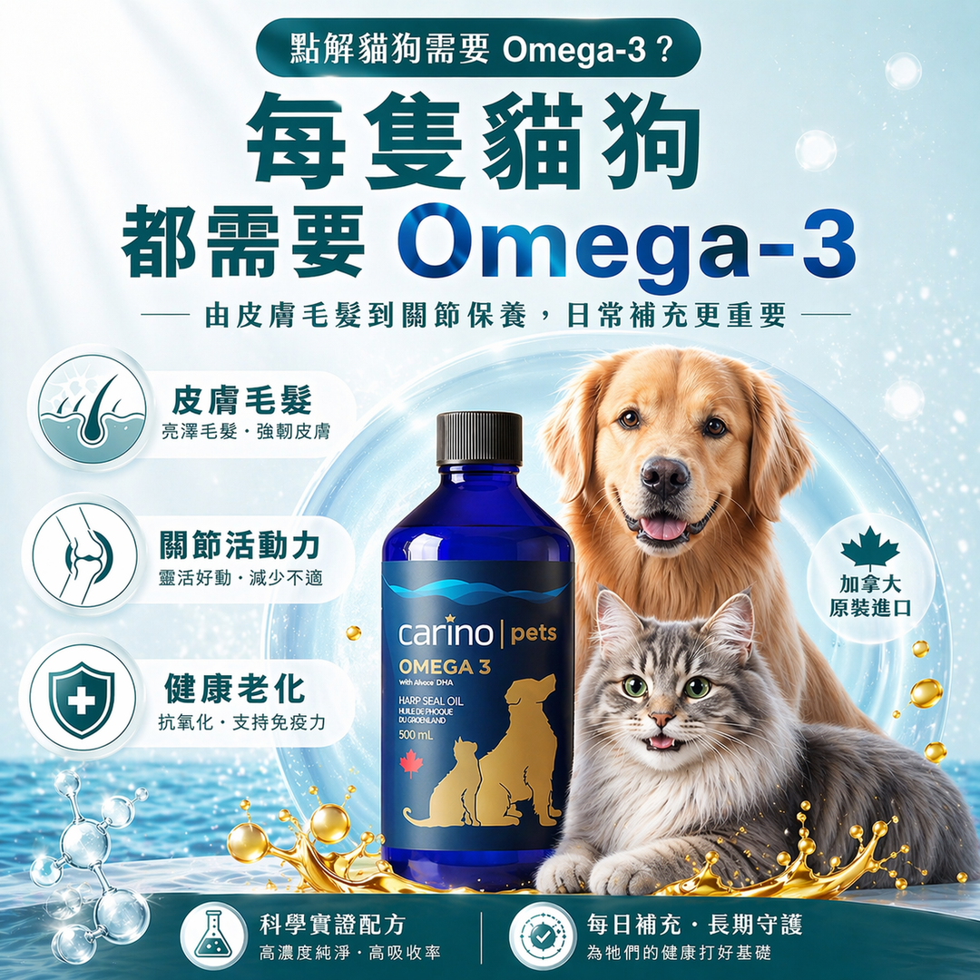 貓狗 Omega-3: 為何每隻毛孩都需要？