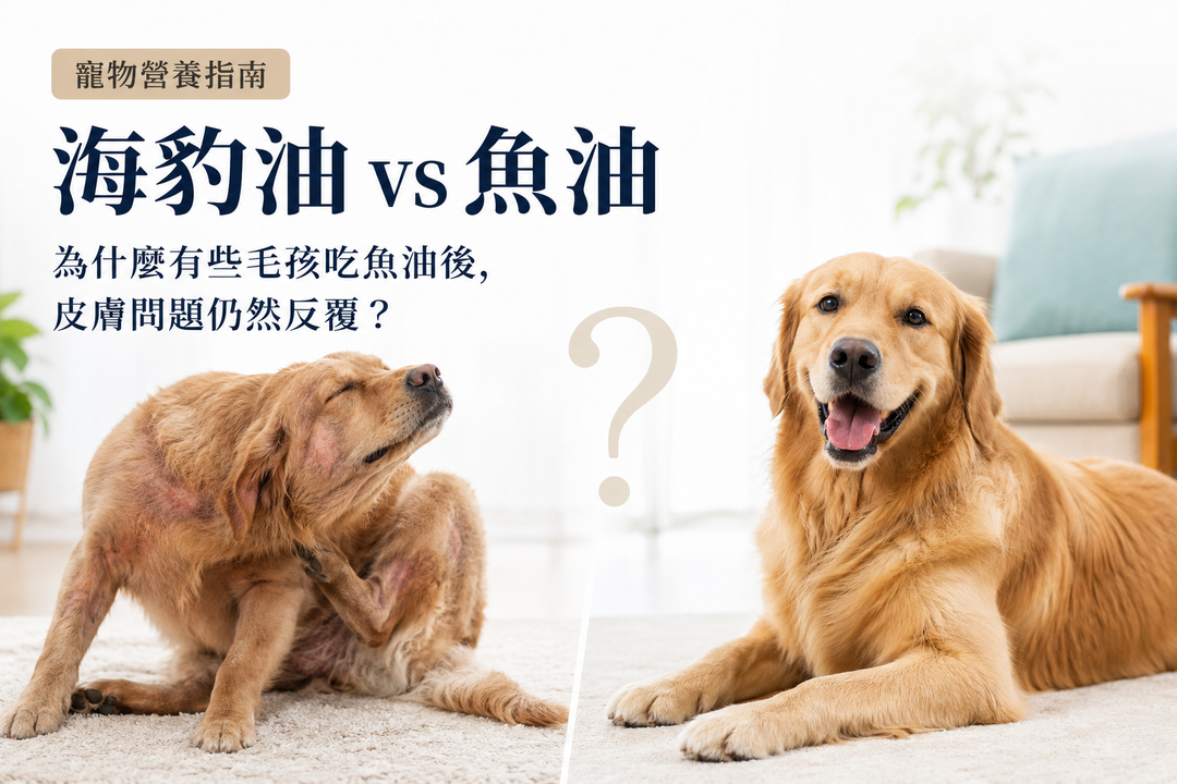 海豹油 vs 魚油：寵物 Omega-3 脂肪酸完整比較指南