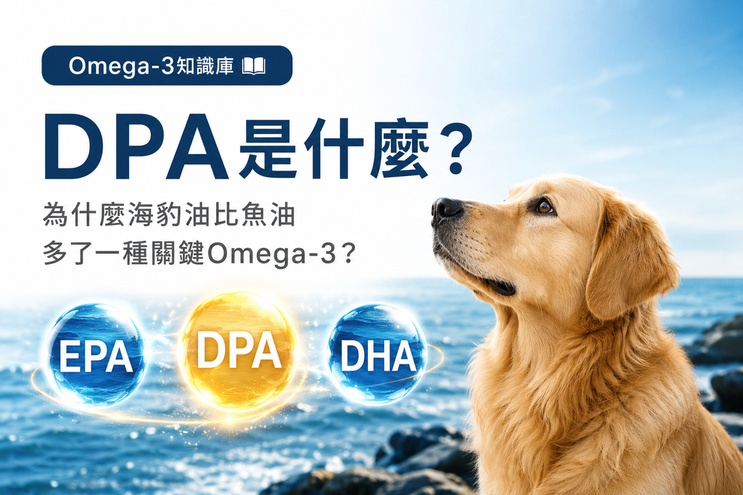 DPA 是什麼？為何海豹油比一般魚油多一種關鍵 Omega-3