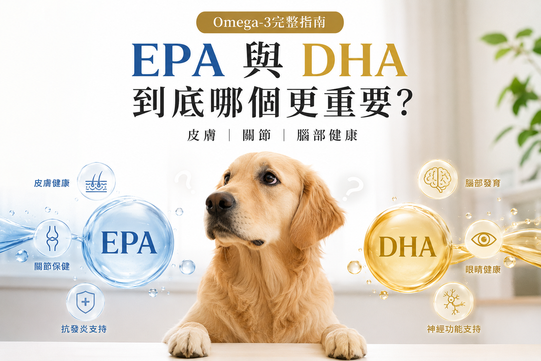寵物 Omega-3 完整指南：EPA 與 DHA 到底哪個更重要？