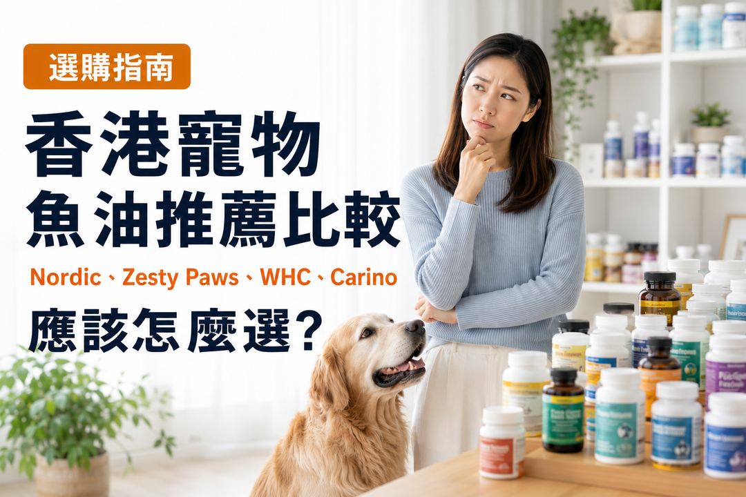 2026香港寵物魚油推薦比較：Nordic、Zesty Paws、WHC、Carino