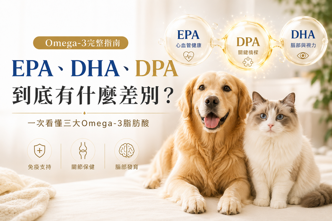 寵物 Omega-3 完整指南：EPA、DHA 與 DPA 功能全解析