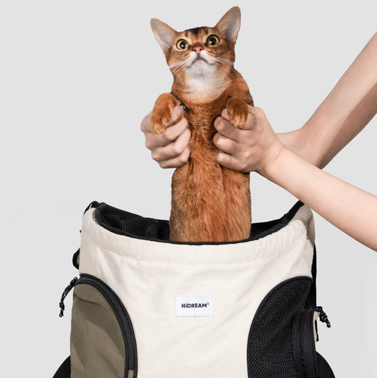 Front-Carry Backpack for Cats