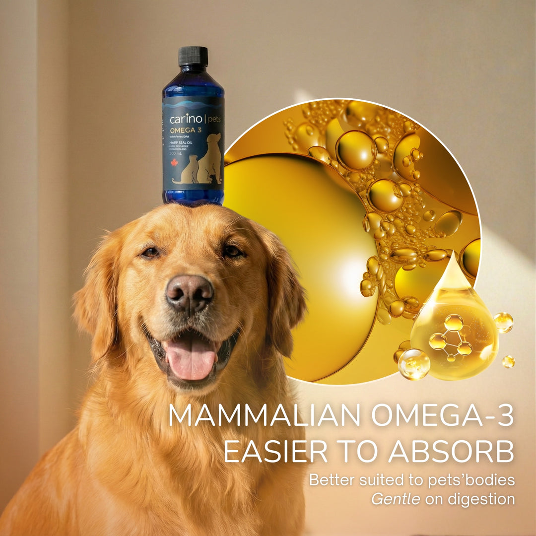 加拿大 Omega-3 海豹油