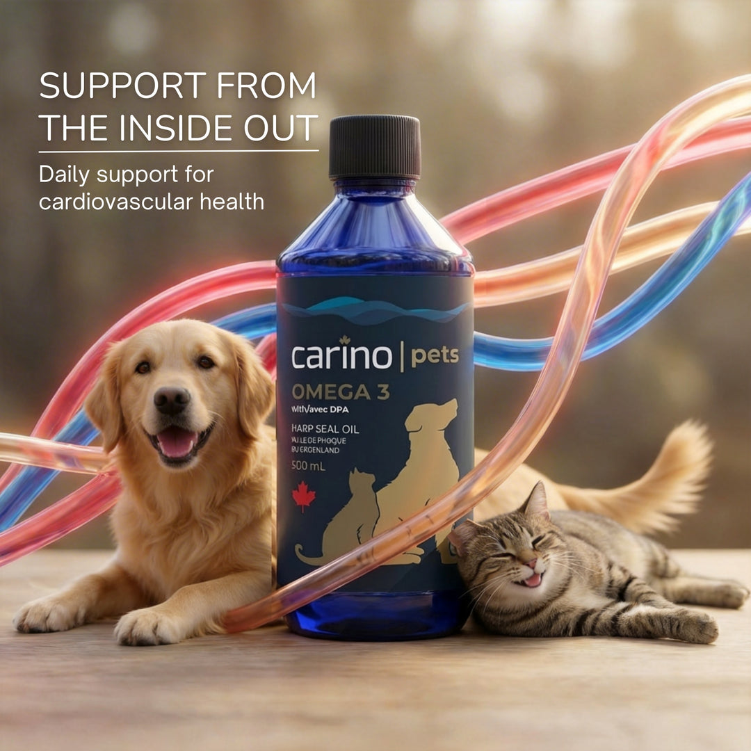 加拿大 Omega-3 海豹油