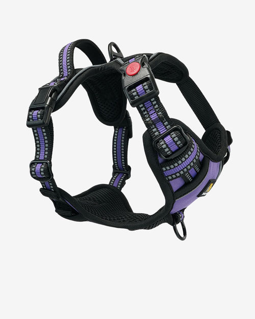 Smart Pro Easy-On No Pull Dog Harness