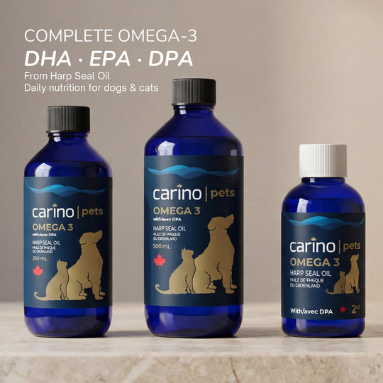 加拿大 Omega-3 海豹油