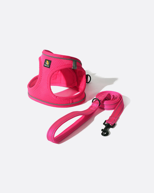 OxyMesh Velcro Step-in Harness and Leash Set