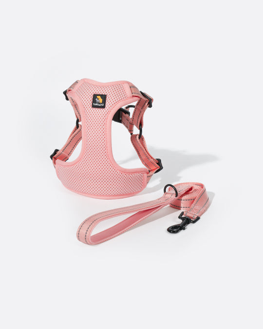 OxyMesh Flexi Step-in Harness and Leash Set