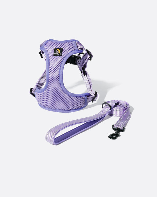 OxyMesh Flexi Step-in Harness and Leash Set