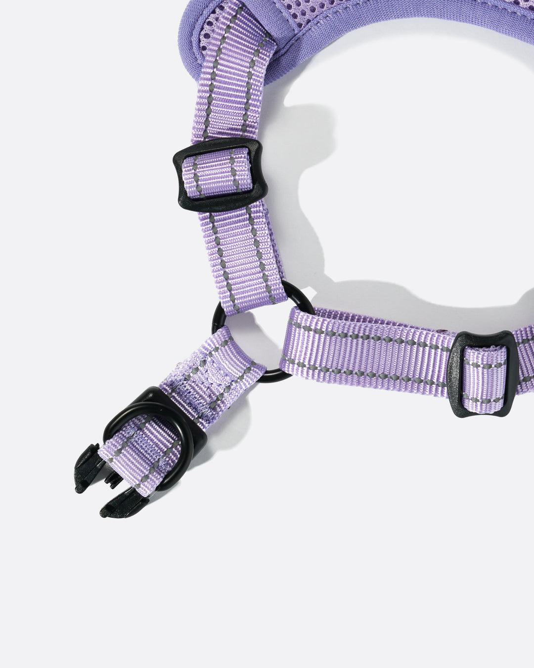 OxyMesh Flexi Step-in Harness and Leash Set