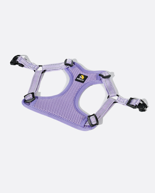 OxyMesh Flexi Step-in Harness and Leash Set