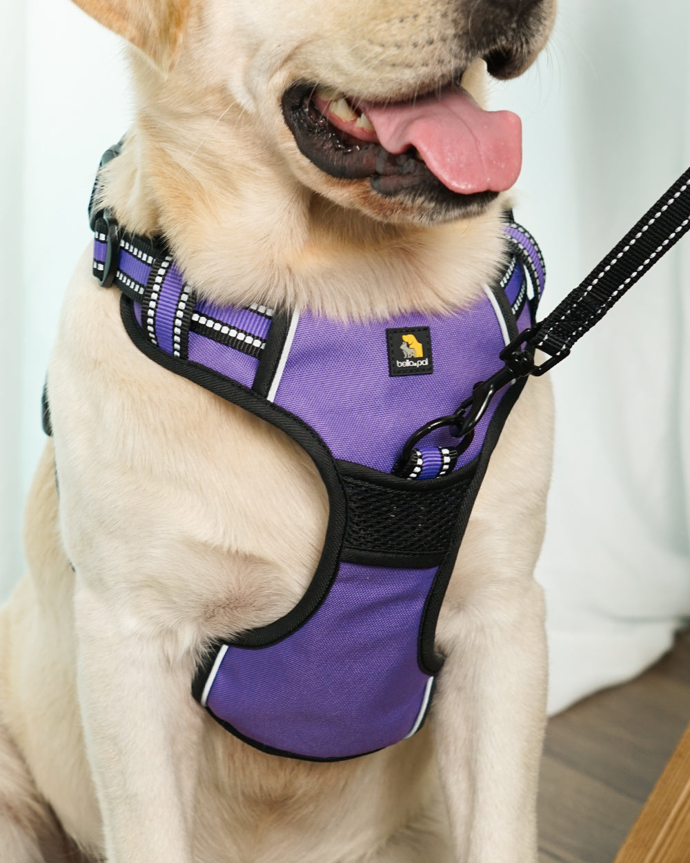 Smart Pro Easy-On No Pull Dog Harness
