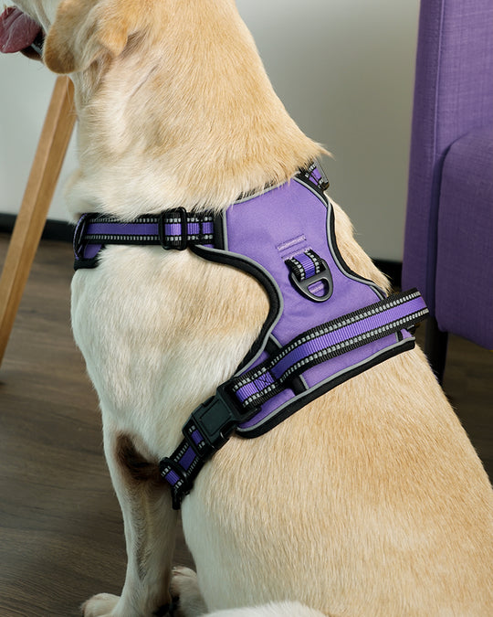 Smart Pro Easy-On No Pull Dog Harness
