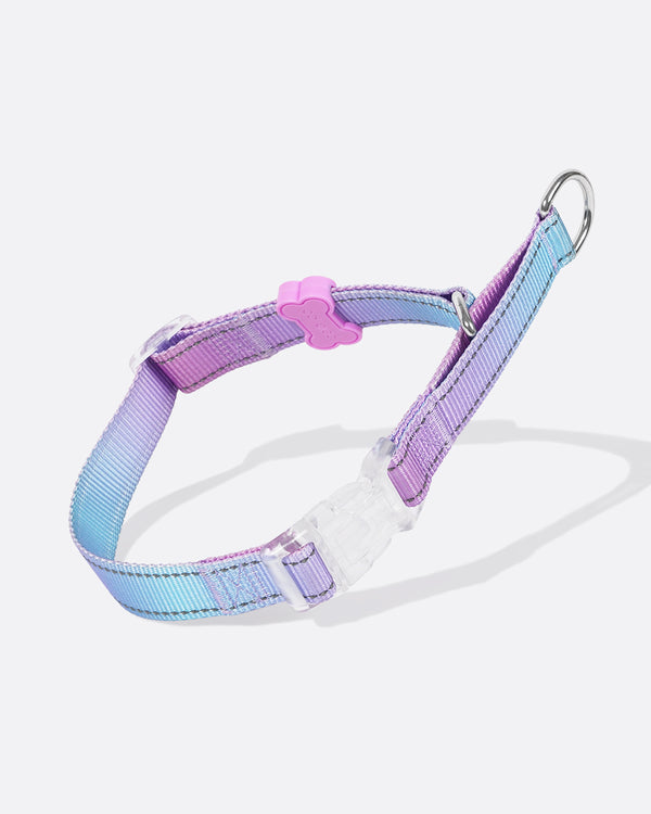 Controla Swift Martingale Collar