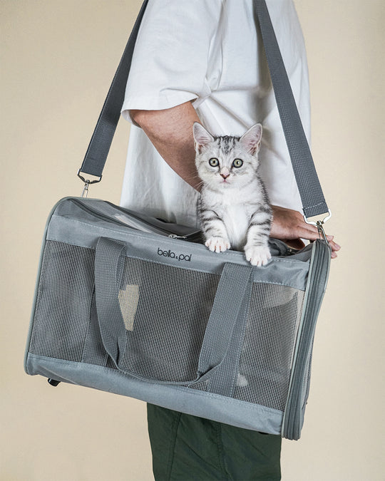 Portable Pet Travel Carrier