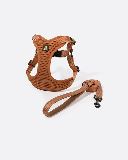 OxyMesh Flexi Step-in Harness and Leash Set