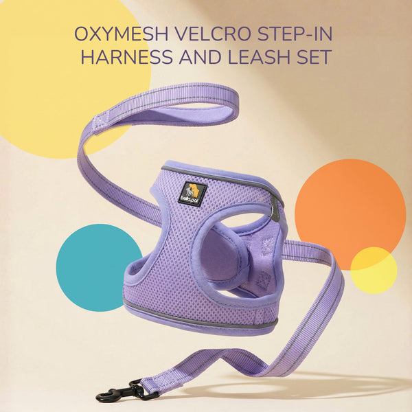 OxyMesh 踏入式胸背帶及牽引繩套裝