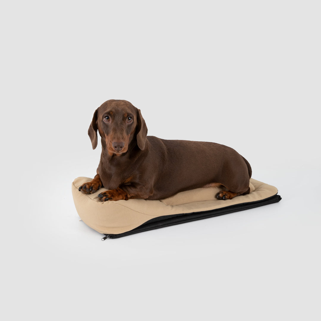 Dachshund Dog Bag