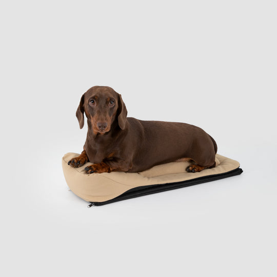 Dachshund Dog Bag