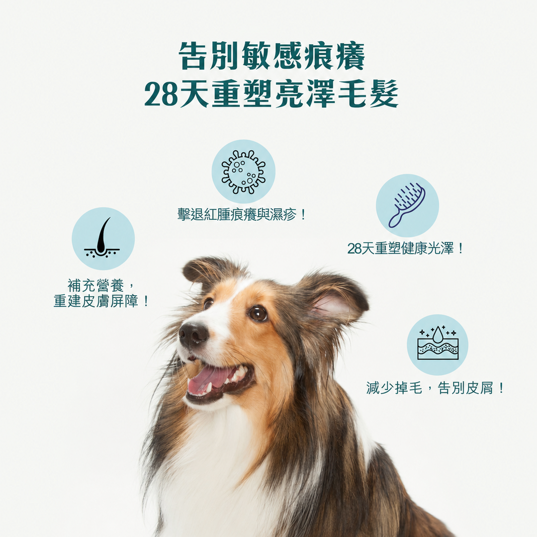 加拿大OMEGA-3 寵物海豹油 (DHA + DPA + EPA)
