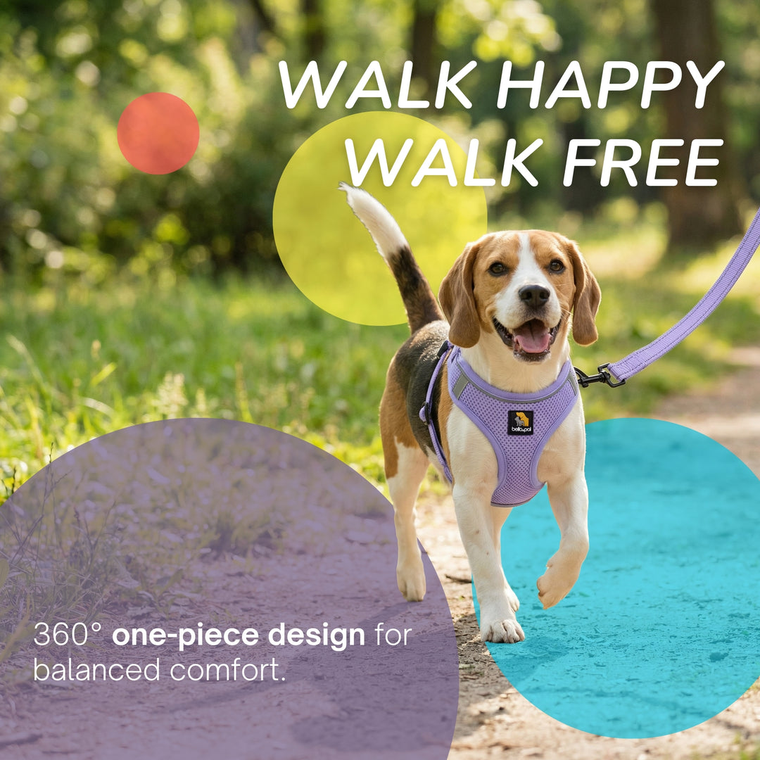 OxyMesh 踏入式胸背帶及牽引繩套裝