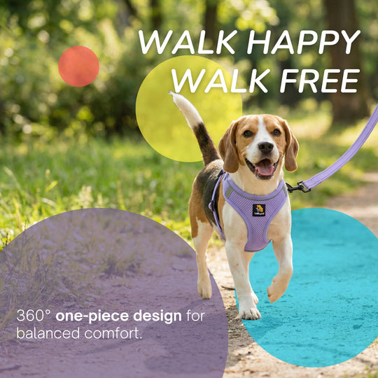 OxyMesh 踏入式胸背帶及牽引繩套裝