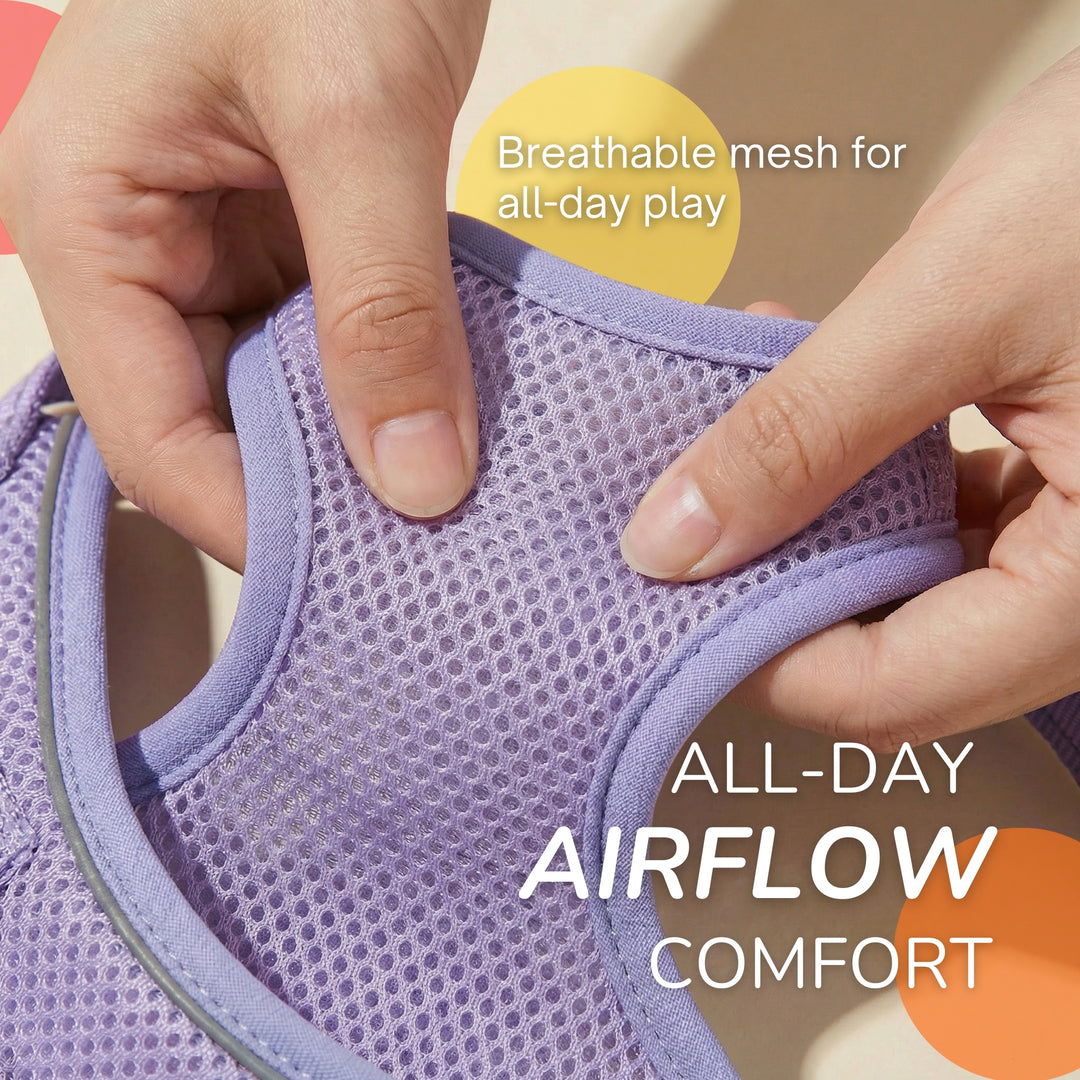 OxyMesh 踏入式胸背帶及牽引繩套裝