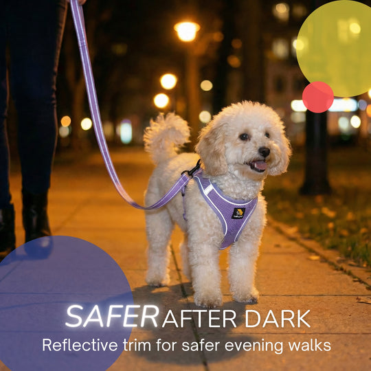 OxyMesh 踏入式胸背帶及牽引繩套裝