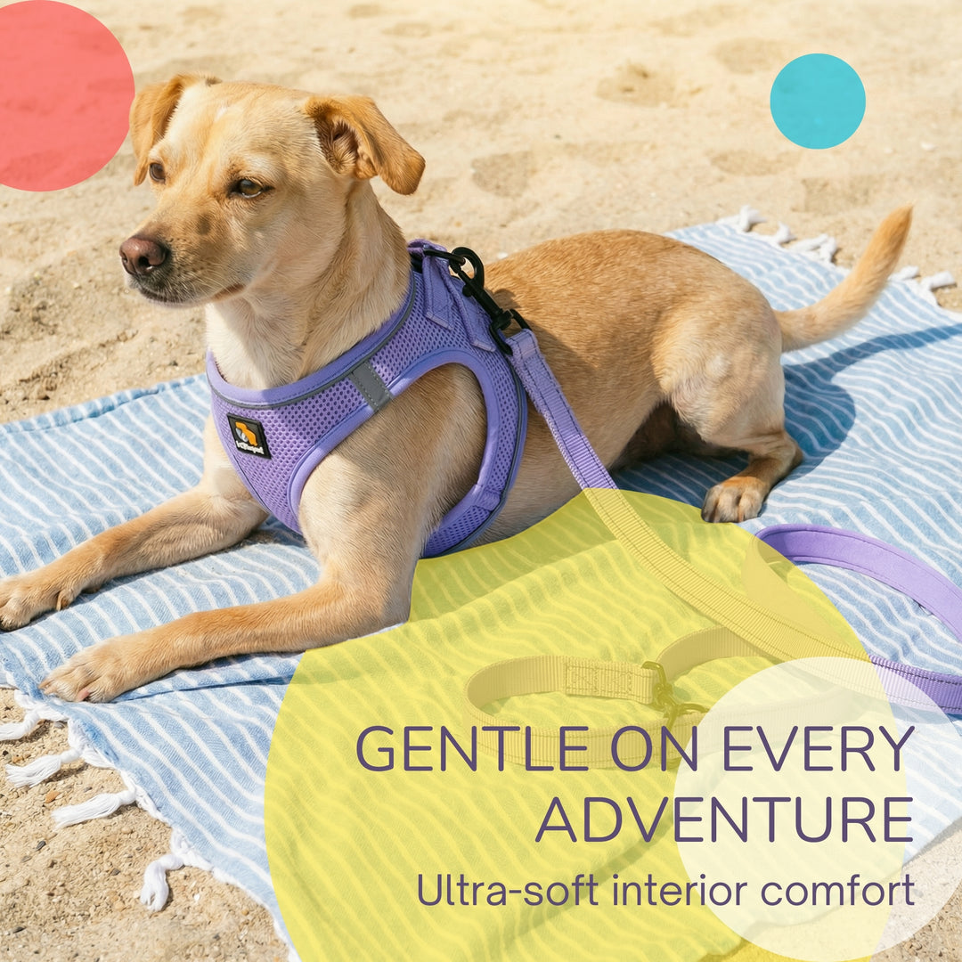 OxyMesh 踏入式胸背帶及牽引繩套裝