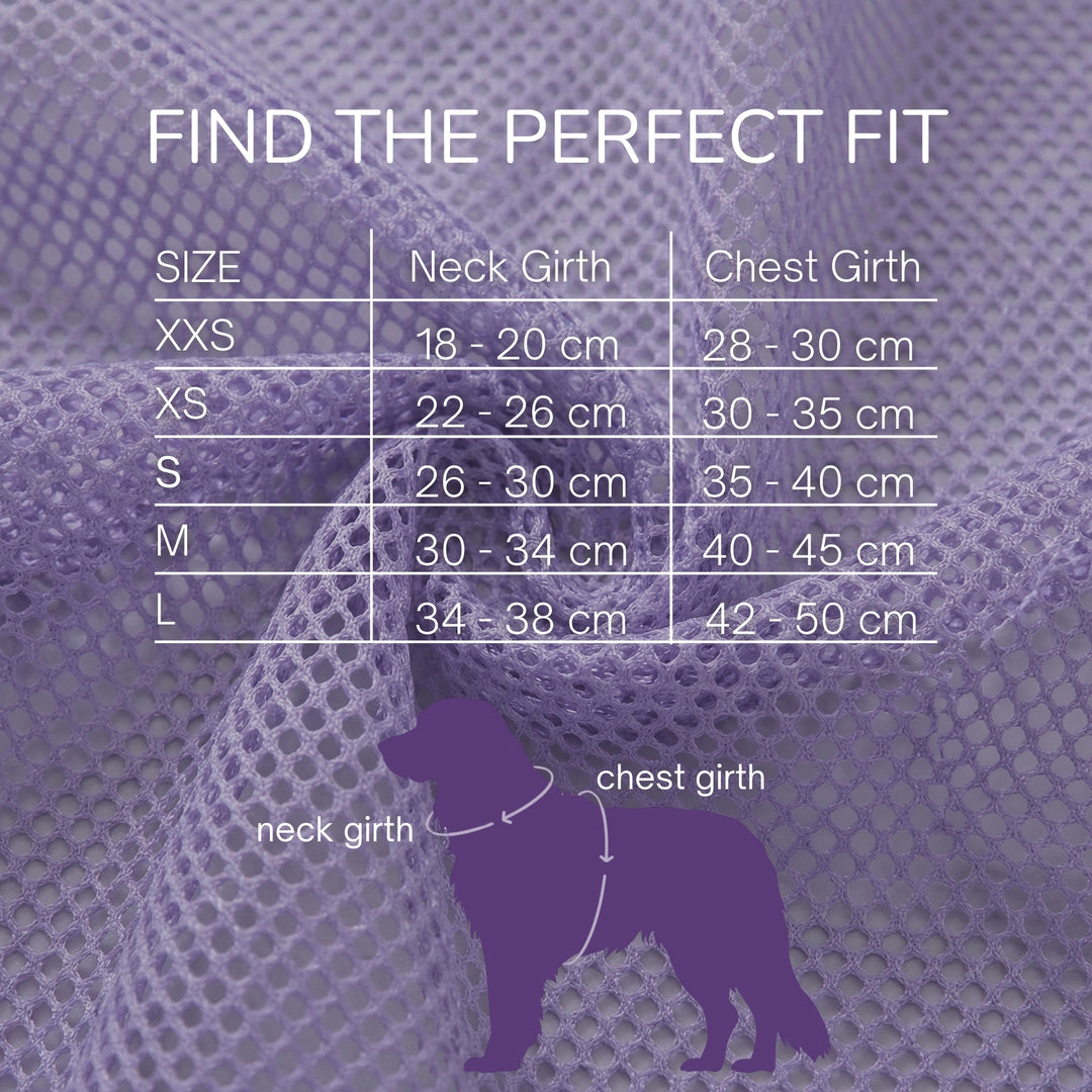 OxyMesh 踏入式胸背帶及牽引繩套裝