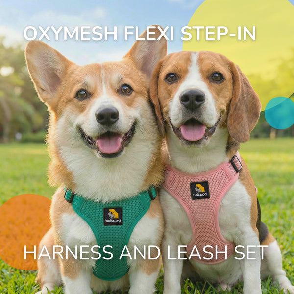OxyMesh Flexi Step-in Harness and Leash Set