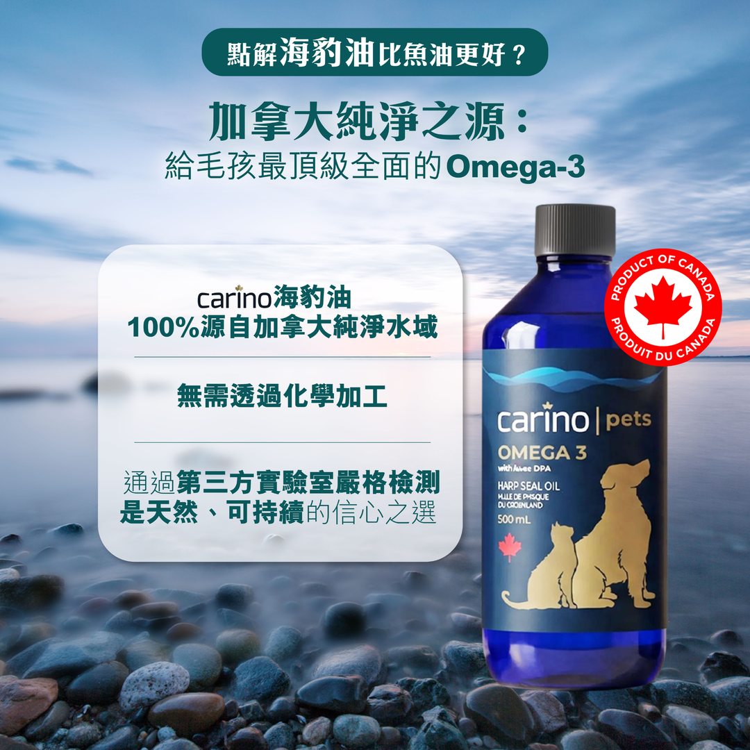 加拿大 Omega-3 海豹油