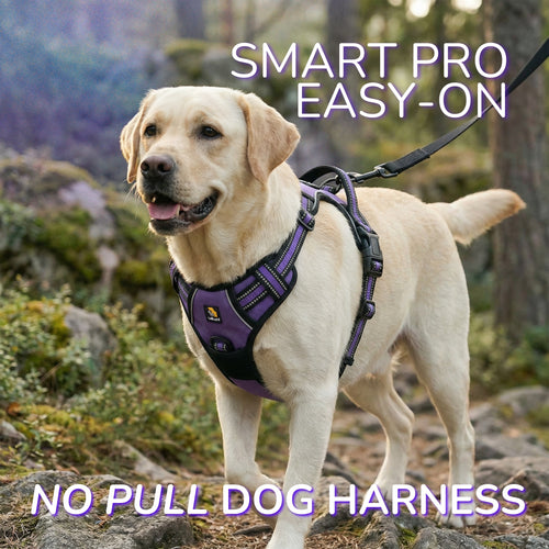 Smart Pro Easy-On No Pull Dog Harness