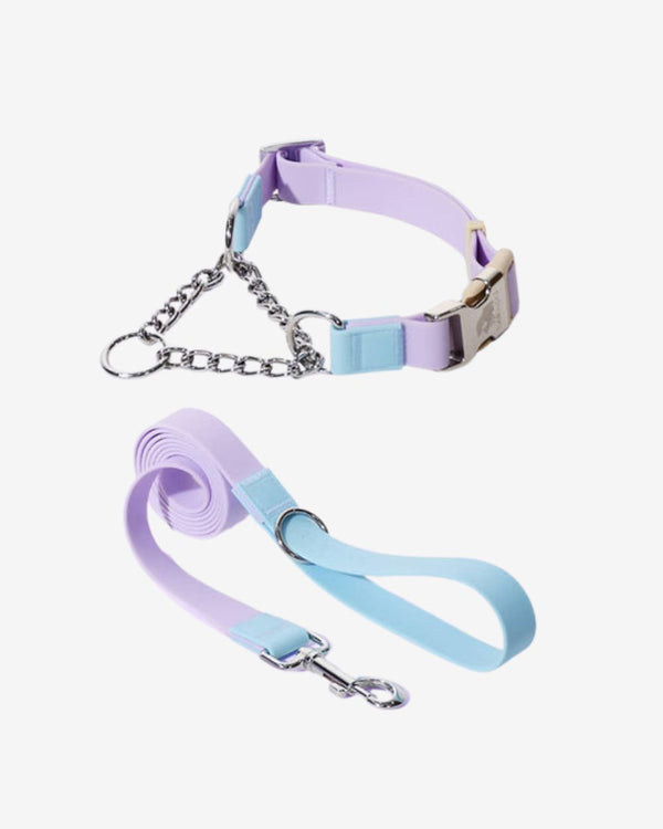 Aqua PVC Waterproof Martingale Collar and Leash Set