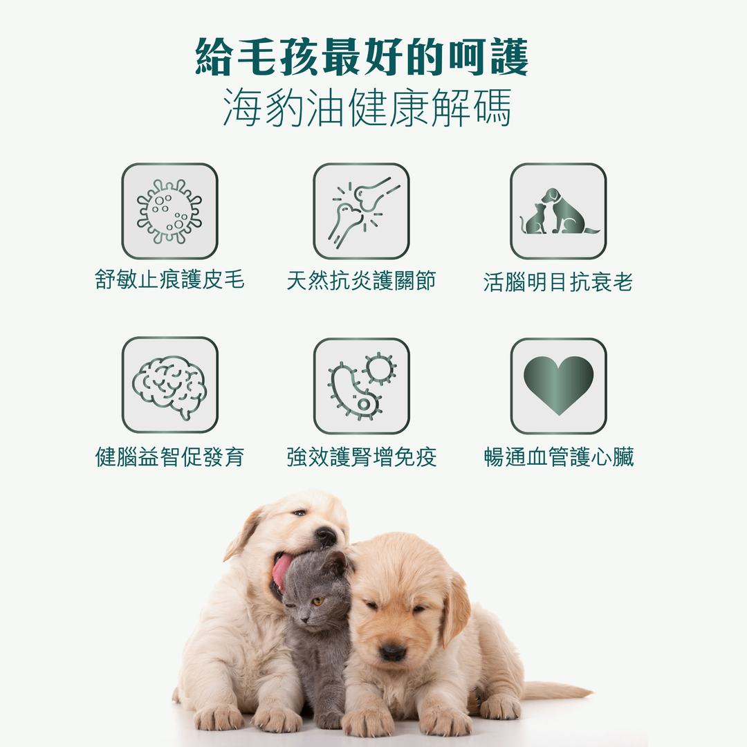 加拿大 Omega-3 海豹油