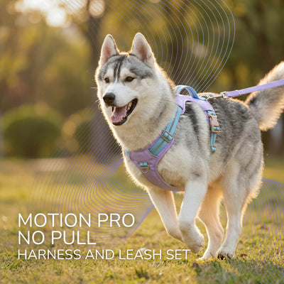 Motion Pro No Pull Dog Harness