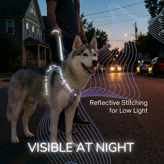 Motion Pro 防拉扯胸背帶