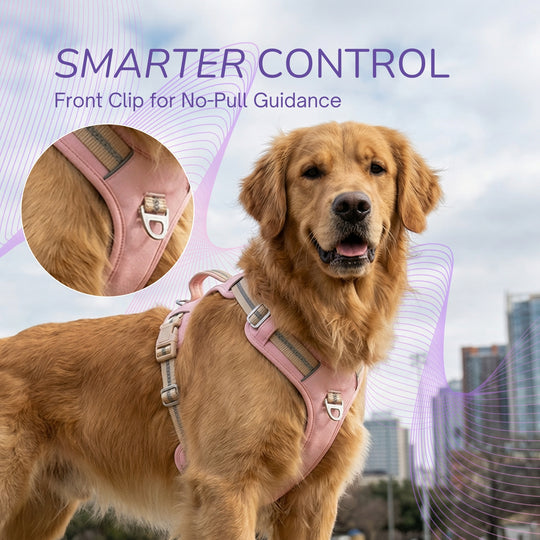 Motion Pro 防拉扯胸背帶