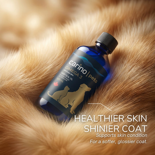 加拿大 Omega-3 海豹油