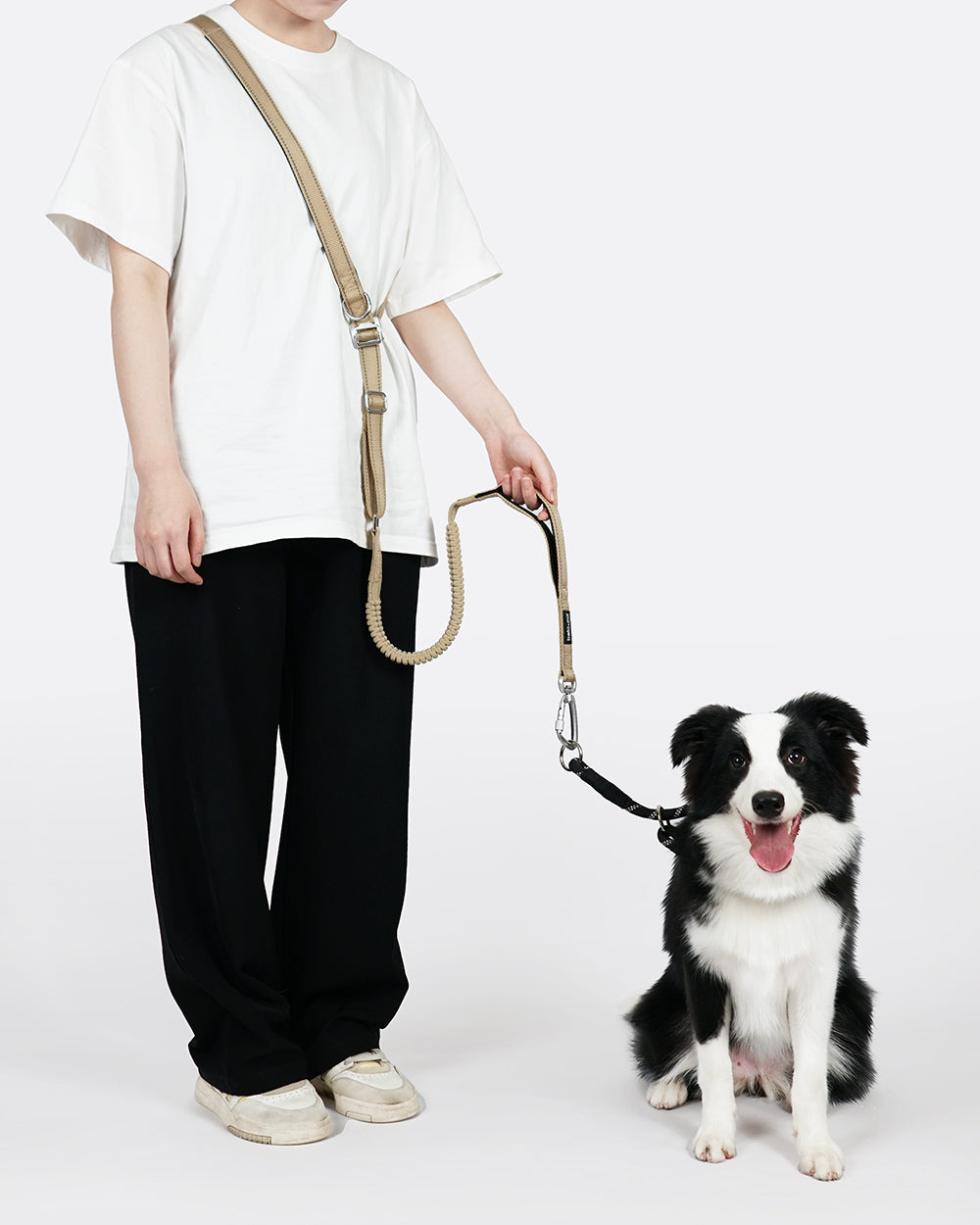 All-Metal Multifunctional Hands-Free Dog Leash