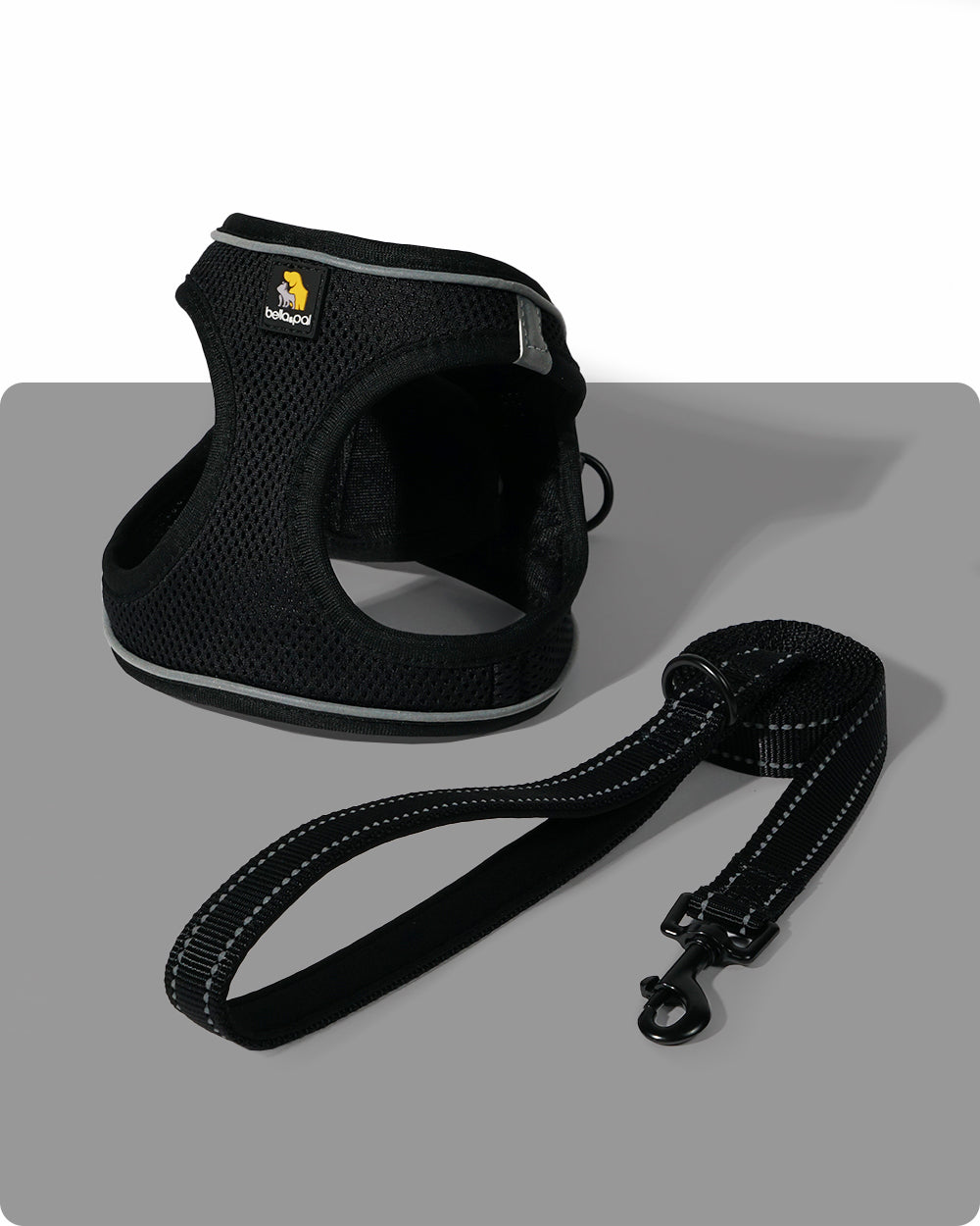 OxyMesh Velcro Step-in Harness and Leash Set