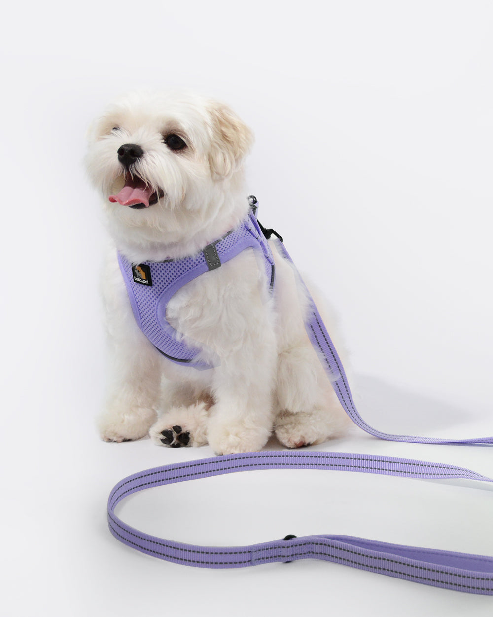 OxyMesh Velcro Step-in Harness and Leash Set
