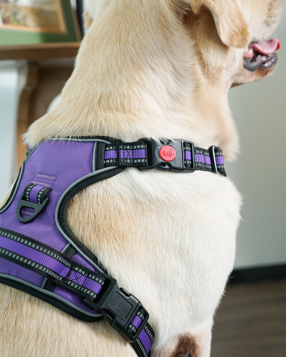 Smart Pro Easy-On No Pull Dog Harness